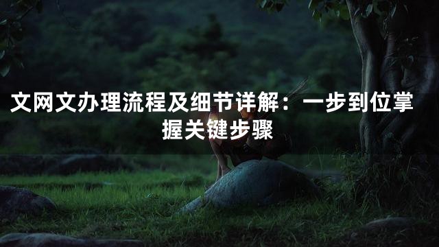 文网文办理流程及细节详解：一步到位掌握关键步骤