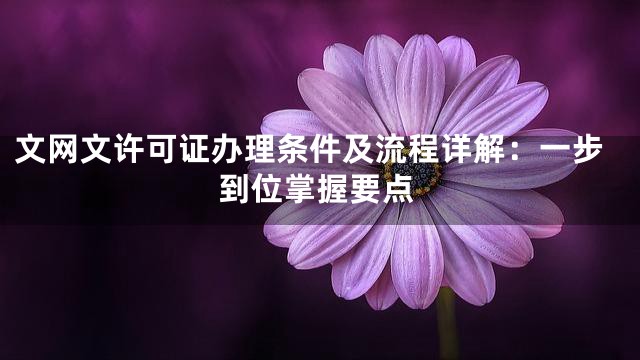文网文许可证办理条件及流程详解：一步到位掌握要点