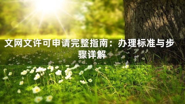 文网文许可申请完整指南：办理标准与步骤详解