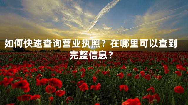 如何快速查询营业执照？在哪里可以查到完整信息？