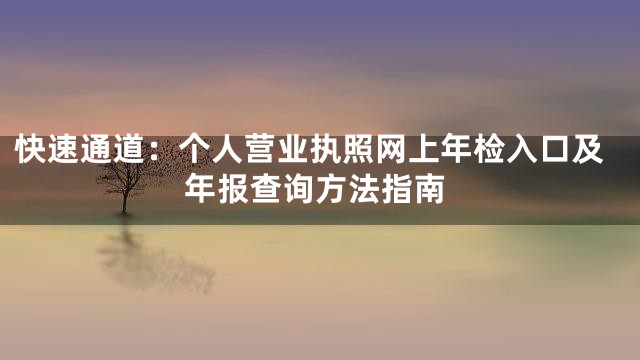 快速通道：个人营业执照网上年检入口及年报查询方法指南