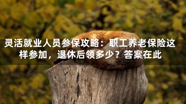 灵活就业人员参保攻略：职工养老保险这样参加，退休后领多少？答案在此