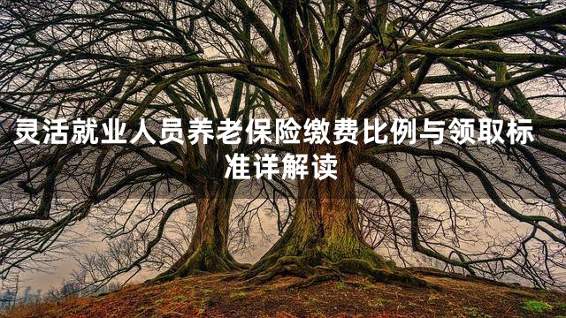 灵活就业人员养老保险缴费比例与领取标准详解读