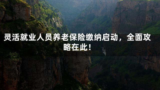 灵活就业人员养老保险缴纳启动，全面攻略在此！
