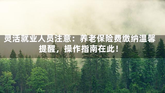 灵活就业人员注意：养老保险费缴纳温馨提醒，操作指南在此！