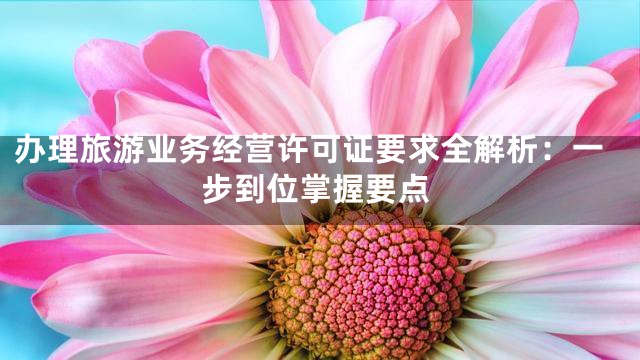 办理旅游业务经营许可证要求全解析：一步到位掌握要点
