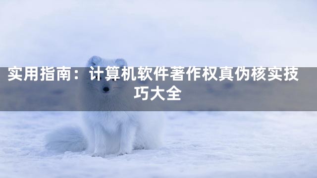 实用指南：计算机软件著作权真伪核实技巧大全