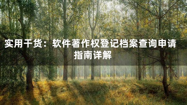 实用干货：软件著作权登记档案查询申请指南详解
