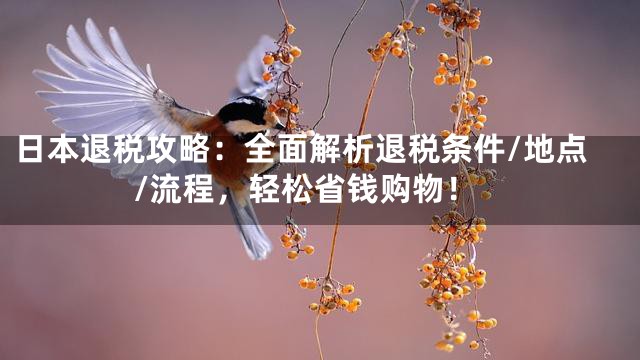 日本退税攻略：全面解析退税条件/地点/流程，轻松省钱购物！