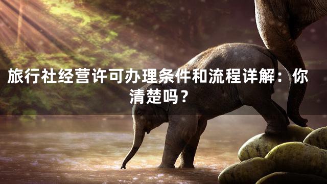 旅行社经营许可办理条件和流程详解：你清楚吗？