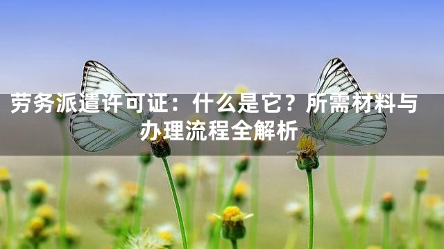 劳务派遣许可证：什么是它？所需材料与办理流程全解析