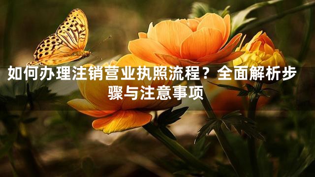 如何办理注销营业执照流程？全面解析步骤与注意事项