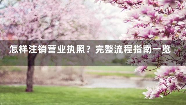 怎样注销营业执照？完整流程指南一览