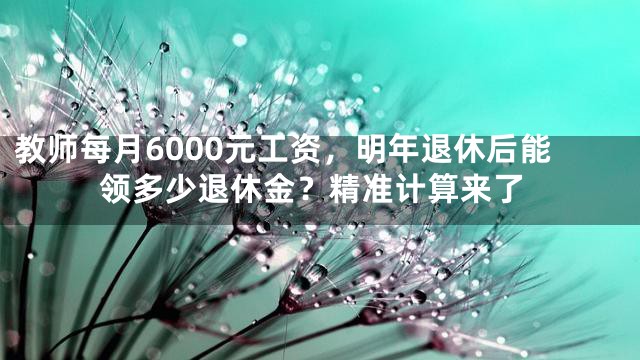 教师每月6000元工资，明年退休后能领多少退休金？精准计算来了