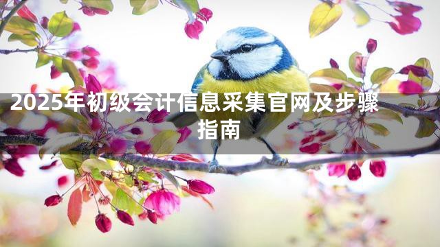 2025年初级会计信息采集官网及步骤指南