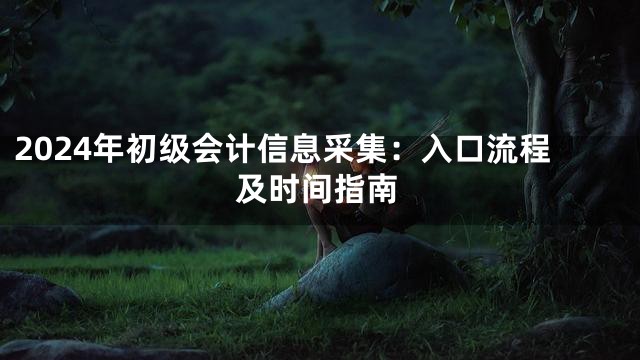 2024年初级会计信息采集：入口流程及时间指南
