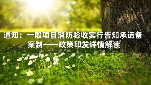 通知：一般项目消防验收实行告知承诺备案制——政策印发详情解读