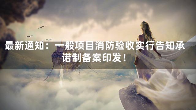 最新通知：一般项目消防验收实行告知承诺制备案印发！
