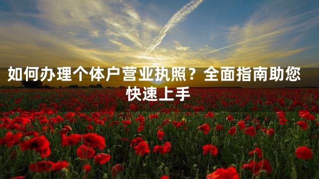 如何办理个体户营业执照？全面指南助您快速上手