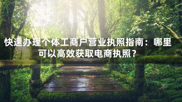 快速办理个体工商户营业执照指南：哪里可以高效获取电商执照？