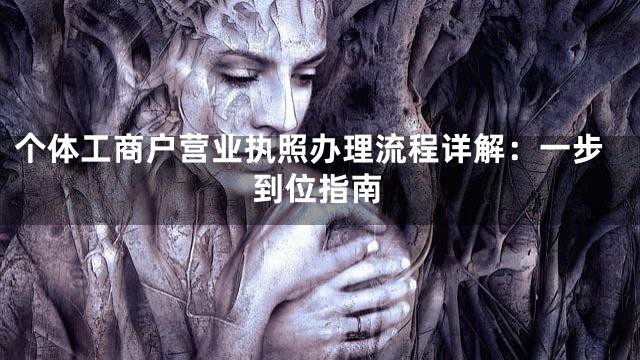 个体工商户营业执照办理流程详解：一步到位指南