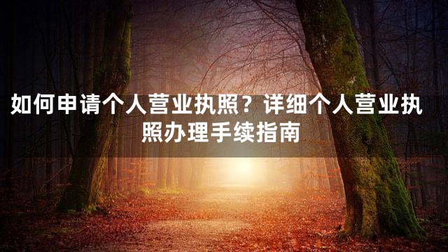 如何申请个人营业执照？详细个人营业执照办理手续指南