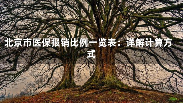 北京市医保报销比例一览表：详解计算方式