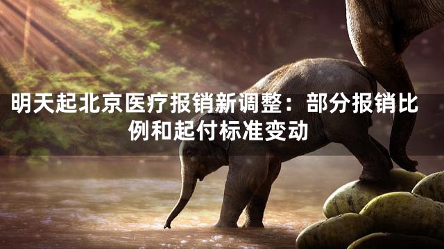 明天起北京医疗报销新调整：部分报销比例和起付标准变动