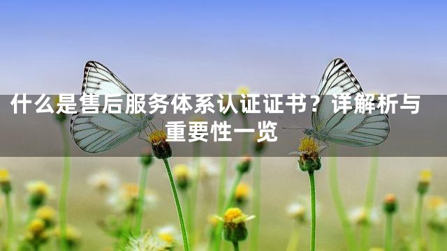 什么是售后服务体系认证证书？详解析与重要性一览