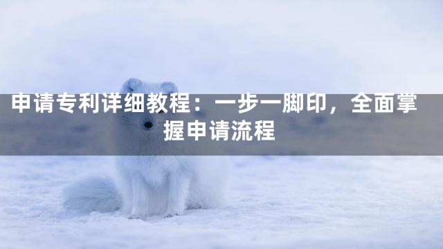 申请专利详细教程：一步一脚印，全面掌握申请流程