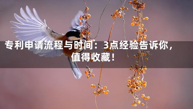 专利申请流程与时间：3点经验告诉你，值得收藏！