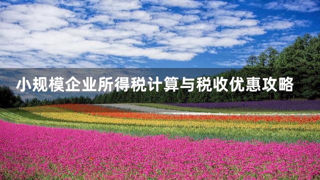 小规模企业所得税计算与税收优惠攻略