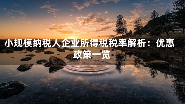 小规模纳税人企业所得税税率解析：优惠政策一览