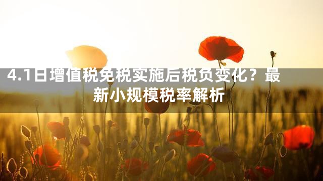 4.1日增值税免税实施后税负变化？最新小规模税率解析