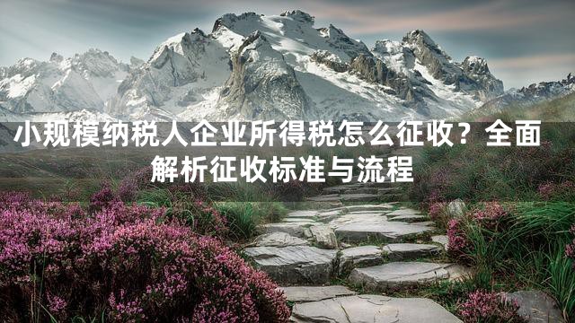 小规模纳税人企业所得税怎么征收？全面解析征收标准与流程
