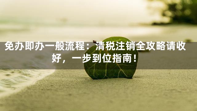 免办即办一般流程：清税注销全攻略请收好，一步到位指南！