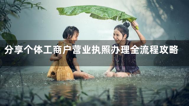 分享个体工商户营业执照办理全流程攻略
