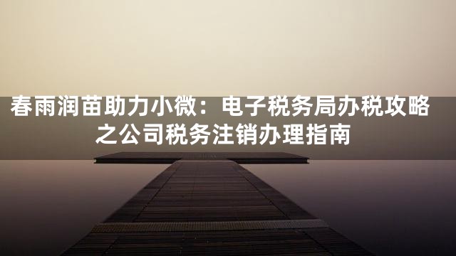春雨润苗助力小微：电子税务局办税攻略之公司税务注销办理指南
