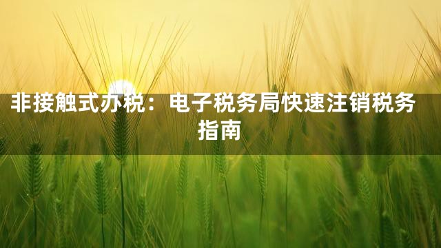 非接触式办税：电子税务局快速注销税务指南