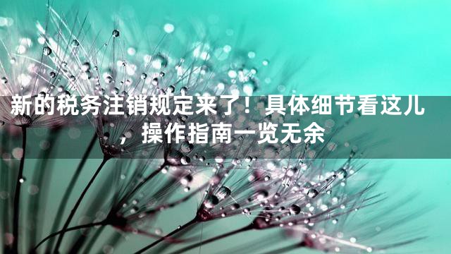 新的税务注销规定来了！具体细节看这儿，操作指南一览无余