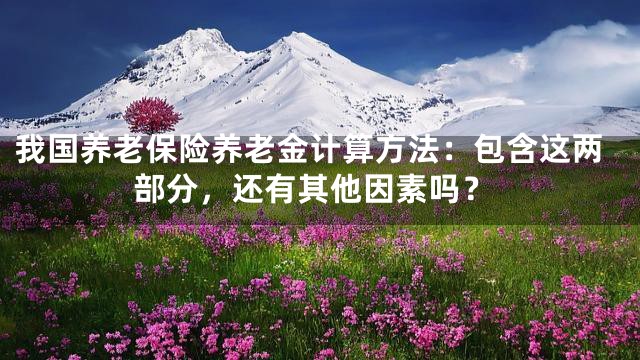 我国养老保险养老金计算方法：包含这两部分，还有其他因素吗？