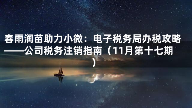 春雨润苗助力小微：电子税务局办税攻略——公司税务注销指南（11月第十七期）