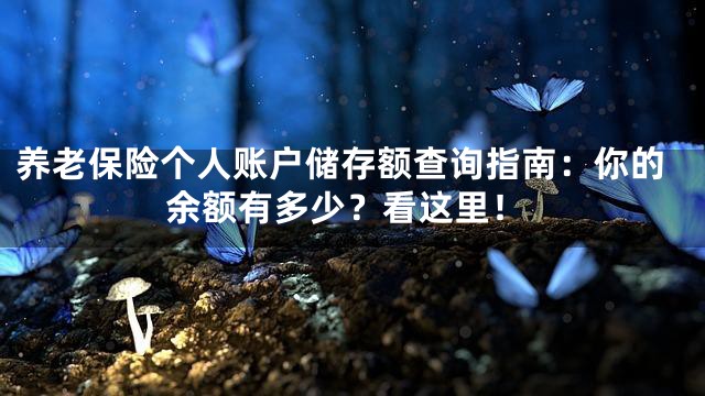 养老保险个人账户储存额查询指南：你的余额有多少？看这里！