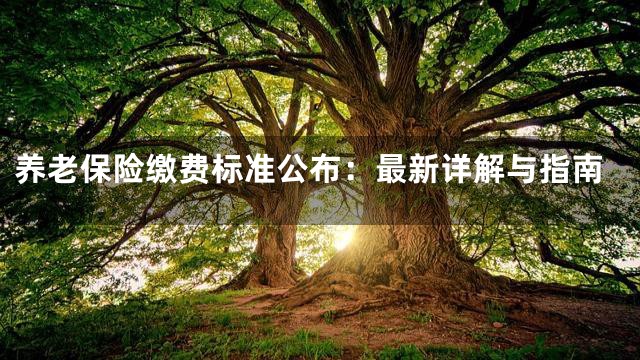 养老保险缴费标准公布：最新详解与指南