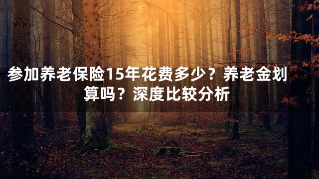 参加养老保险15年花费多少？养老金划算吗？深度比较分析