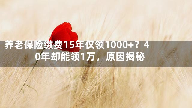 养老保险缴费15年仅领1000+？40年却能领1万，原因揭秘
