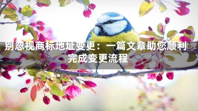 别忽视商标地址变更：一篇文章助您顺利完成变更流程