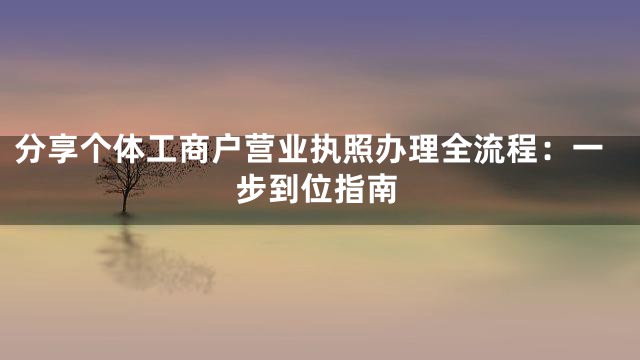 分享个体工商户营业执照办理全流程：一步到位指南