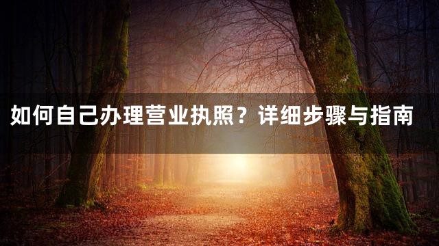 如何自己办理营业执照？详细步骤与指南