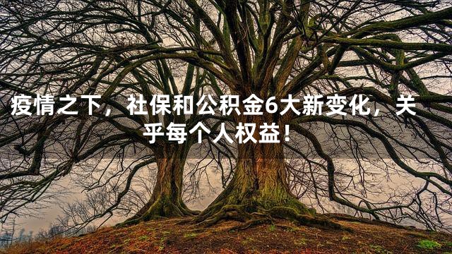 疫情之下，社保和公积金6大新变化，关乎每个人权益！